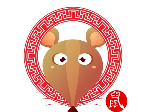 Rat