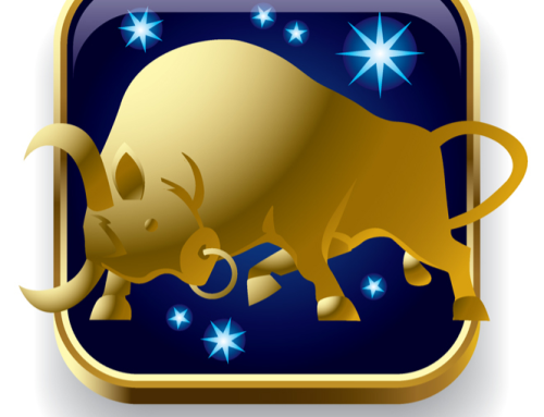 Stier