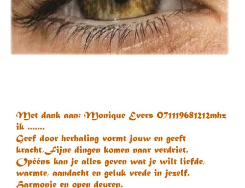 Overprikkeld door HOOGSENSTIVITEIT