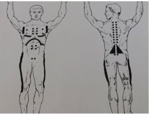 Ondersteunen van het immuunsysteem – neurolymfatische punten massage